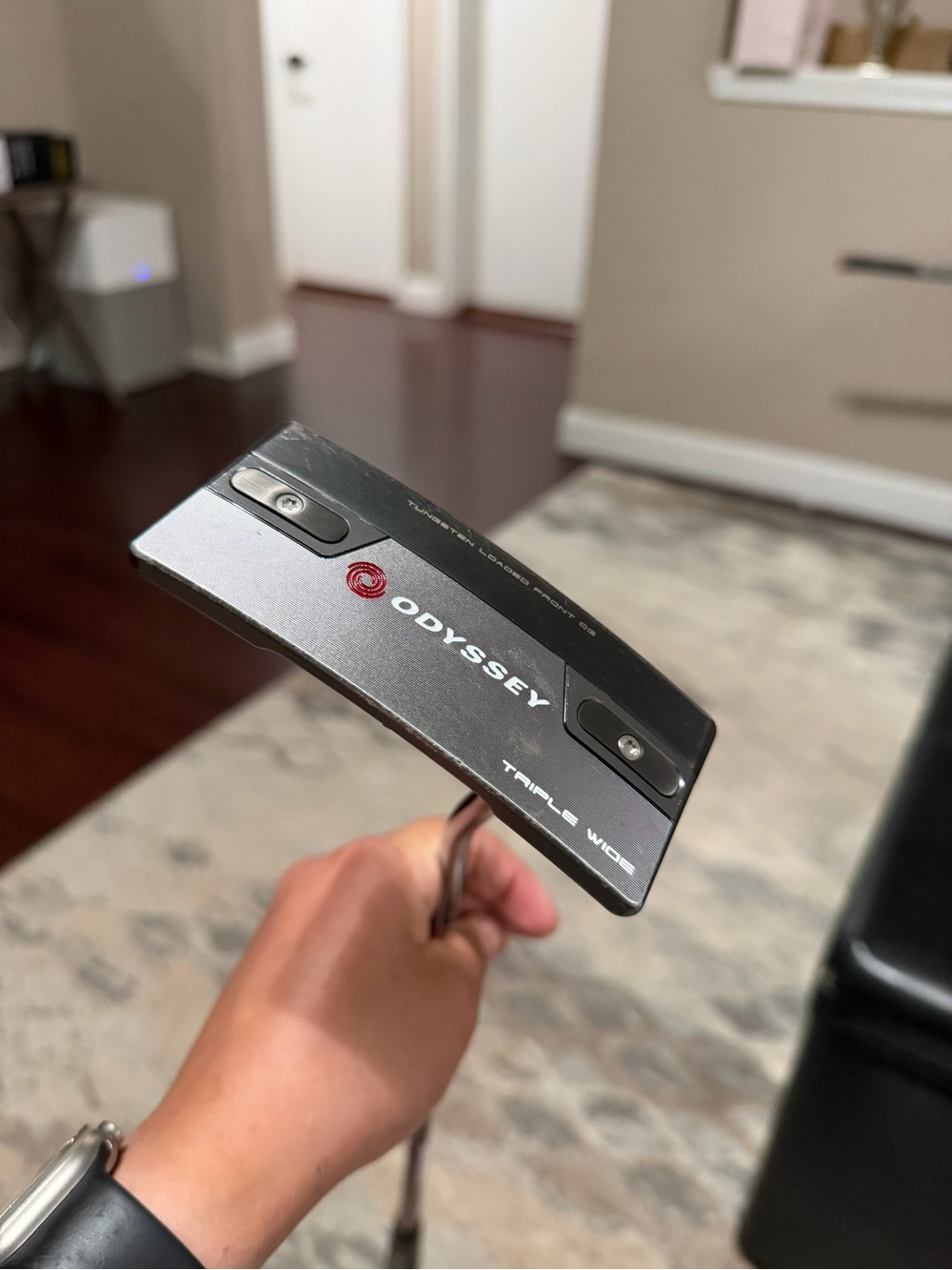 Lab stroke putter - Picture 2 of 5